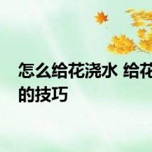 怎么给花浇水 给花浇水的技巧