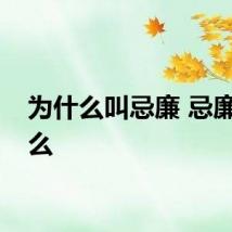 为什么叫忌廉 忌廉是什么