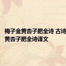 梅子金黄杏子肥全诗 古诗梅子金黄杏子肥全诗译文