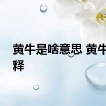 黄牛是啥意思 黄牛的解释