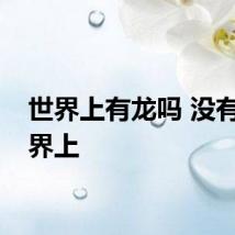 世界上有龙吗 没有龙世界上
