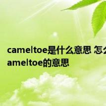 cameltoe是什么意思 怎么理解cameltoe的意思