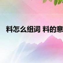 料怎么组词 料的意思