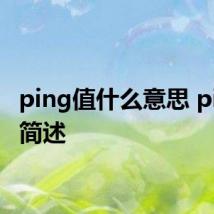 ping值什么意思 ping值简述