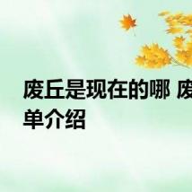 废丘是现在的哪 废丘简单介绍