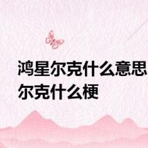 鸿星尔克什么意思 鸿星尔克什么梗