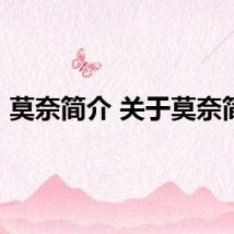 莫奈简介 关于莫奈简介