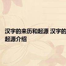 汉字的来历和起源 汉字的来历和起源介绍