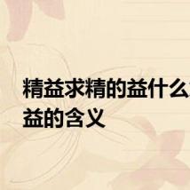 精益求精的益什么意思 益的含义