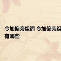 令加偏旁组词 令加偏旁组成的字有哪些