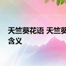 天竺葵花语 天竺葵花语含义