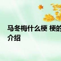 马冬梅什么梗 梗的产生介绍