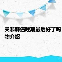 吴邪肺癌晚期最后好了吗 吴邪人物介绍