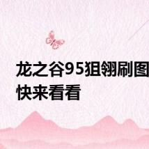 龙之谷95狙翎刷图加点 快来看看