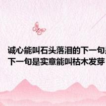 诚心能叫石头落泪的下一句是什么 下一句是实意能叫枯木发芽