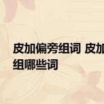 皮加偏旁组词 皮加偏旁组哪些词