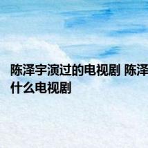 陈泽宇演过的电视剧 陈泽宇演过什么电视剧