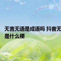 无言无语是成语吗 抖音无言无语是什么梗