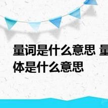 量词是什么意思 量词具体是什么意思