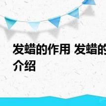 发蜡的作用 发蜡的用途介绍