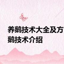 养鹅技术大全及方法 养鹅技术介绍