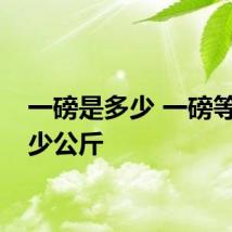 一磅是多少 一磅等于多少公斤
