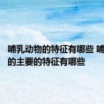 哺乳动物的特征有哪些 哺乳动物的主要的特征有哪些