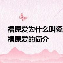 福原爱为什么叫瓷娃娃 福原爱的简介
