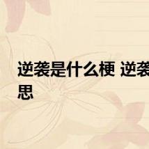 逆袭是什么梗 逆袭的意思