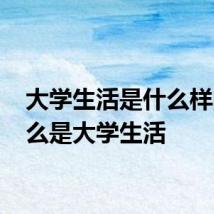 大学生活是什么样的 什么是大学生活
