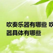吹奏乐器有哪些 吹奏乐器具体有哪些