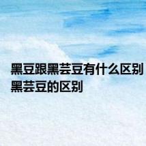 黑豆跟黑芸豆有什么区别 黑豆跟黑芸豆的区别