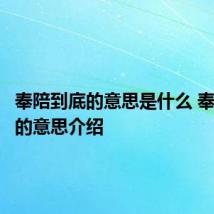 奉陪到底的意思是什么 奉陪到底的意思介绍