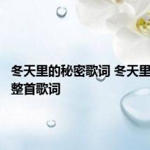 冬天里的秘密歌词 冬天里的秘密整首歌词