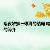 暗夜雄狮三雄狮的结局 暗夜雄狮的简介