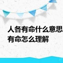 人各有命什么意思 人各有命怎么理解