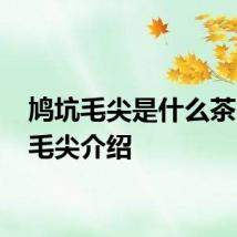 鸠坑毛尖是什么茶 鸠坑毛尖介绍