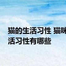 猫的生活习性 猫咪的生活习性有哪些
