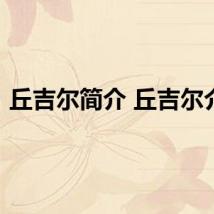 丘吉尔简介 丘吉尔介绍