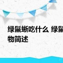 绿鬣蜥吃什么 绿鬣蜥食物简述