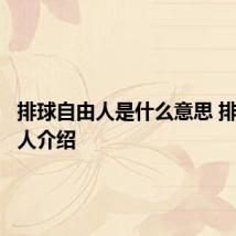 排球自由人是什么意思 排球自由人介绍