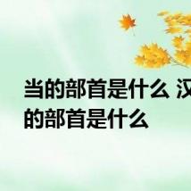 当的部首是什么 汉字当的部首是什么