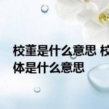校董是什么意思 校董具体是什么意思