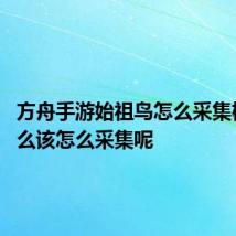 方舟手游始祖鸟怎么采集树脂 那么该怎么采集呢