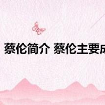 蔡伦简介 蔡伦主要成就