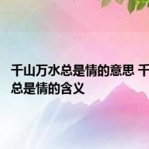 千山万水总是情的意思 千山万水总是情的含义