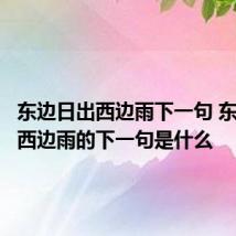 东边日出西边雨下一句 东边日出西边雨的下一句是什么