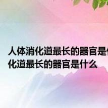 人体消化道最长的器官是什么 消化道最长的器官是什么