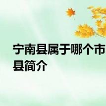 宁南县属于哪个市 南宁县简介