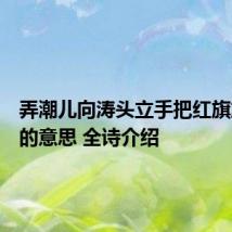 弄潮儿向涛头立手把红旗旗不湿的意思 全诗介绍